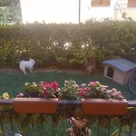 بيت ضيافة Rosa *