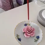 Rosa *