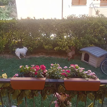 Гостевой дом Rosa *