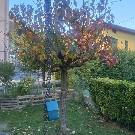 Rosa Гостевой дом