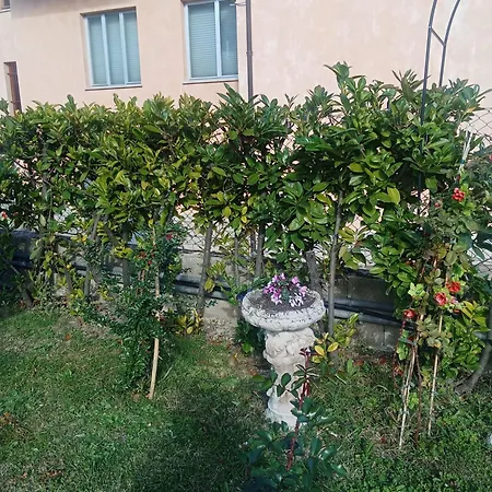 Rosa Гостевой дом