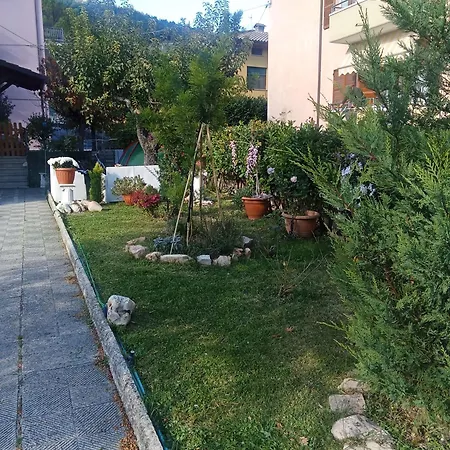 Rosa Акваланга