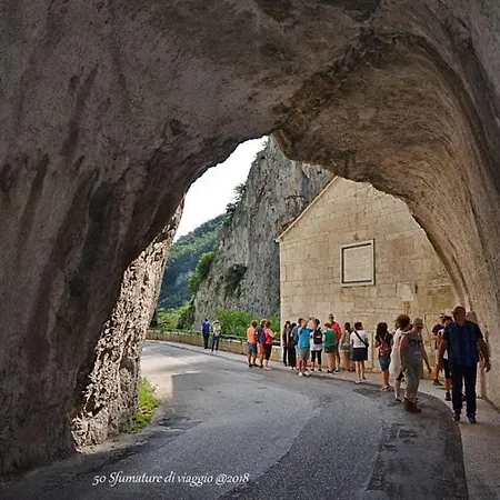 Rosa Гостевой дом