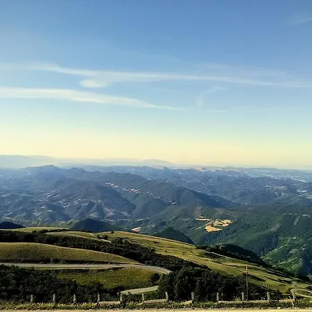 Rosa * Акваланга