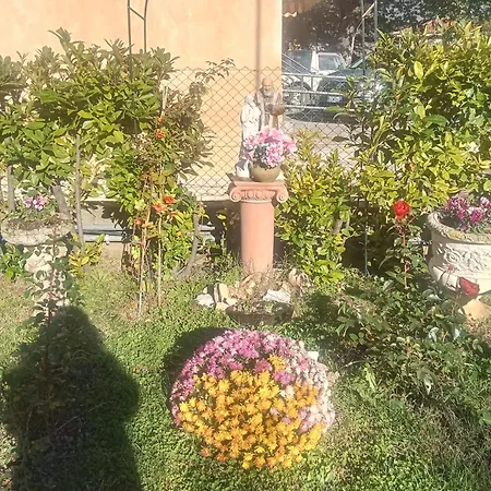 Rosa Гостевой дом Акваланга