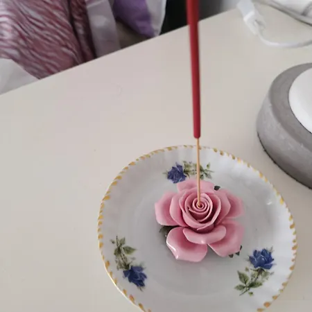 Rosa *