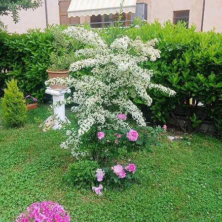 Rosa בית הארחה אקוולניה