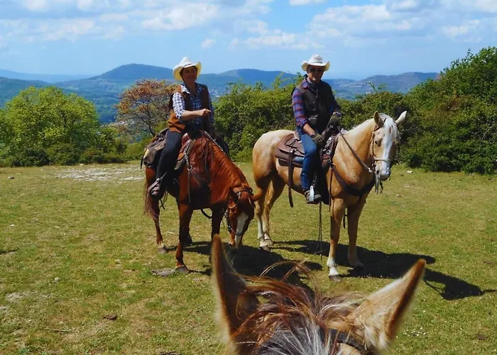Pensión Rosa Acqualagna